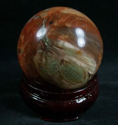 Colorful Petrified Wood Sphere #6789